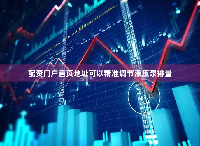 配资门户首页地址可以精准调节液压泵排量