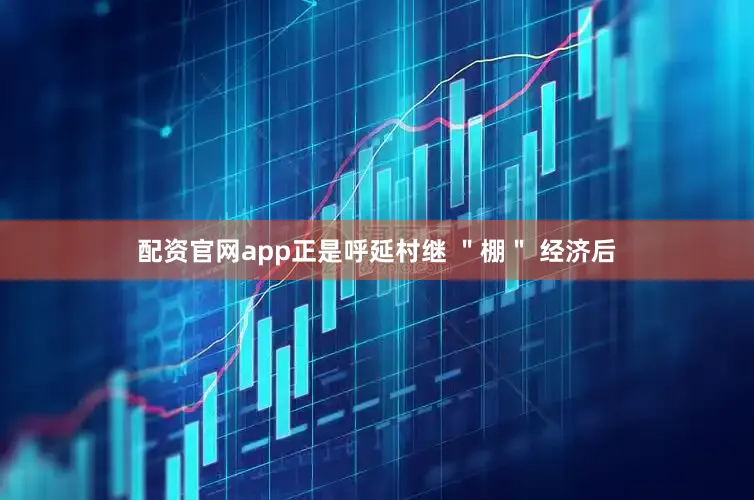 配资官网app正是呼延村继 ＂棚＂ 经济后