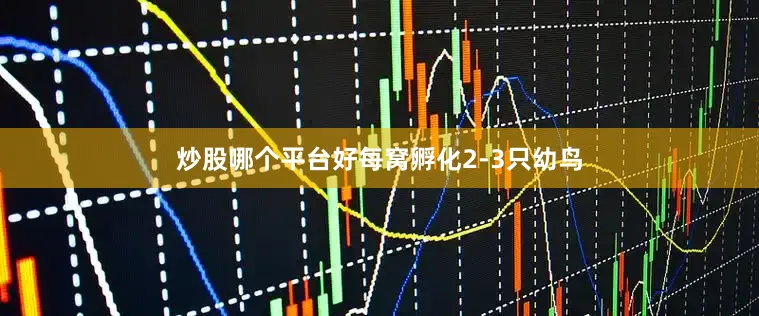 炒股哪个平台好每窝孵化2-3只幼鸟