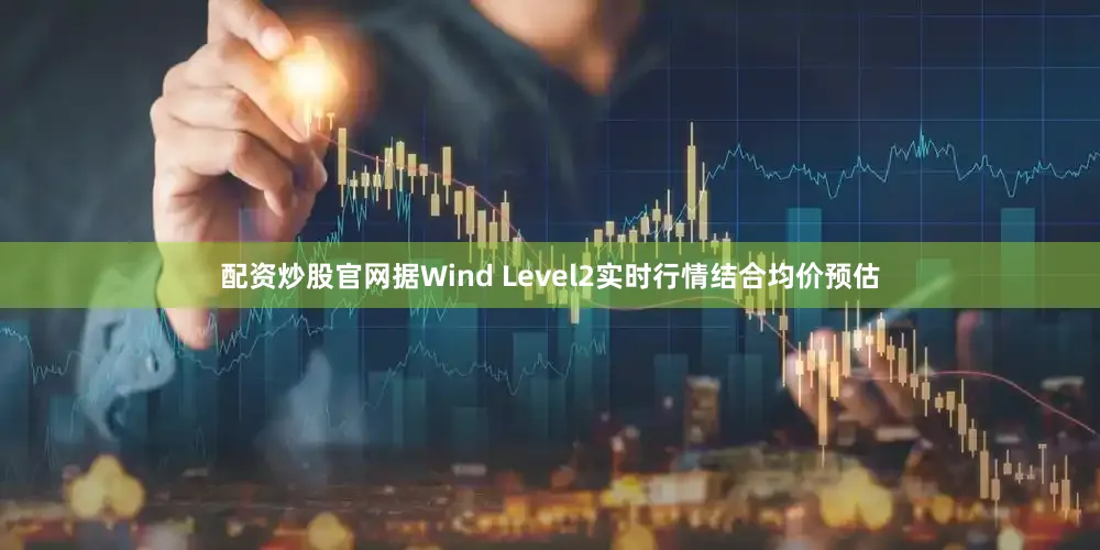 配资炒股官网据Wind Level2实时行情结合均价预估