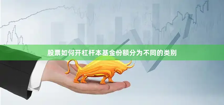 股票如何开杠杆本基金份额分为不同的类别