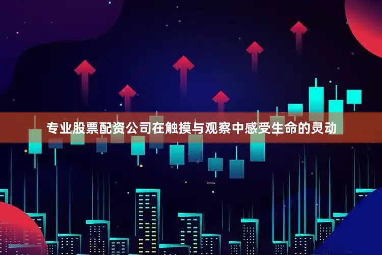 专业股票配资公司在触摸与观察中感受生命的灵动