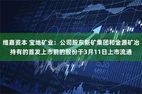 维嘉资本 宝地矿业：公司股东新矿集团和金源矿冶持有的首发上市前的股份于3月11日上市流通