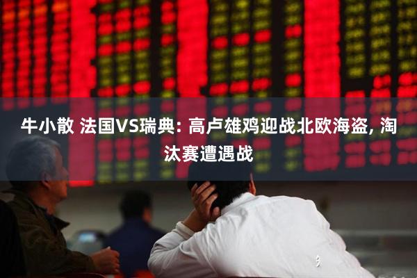 牛小散 法国VS瑞典: 高卢雄鸡迎战北欧海盗, 淘汰赛遭遇战