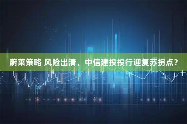 蔚莱策略 风险出清，中信建投投行迎复苏拐点？